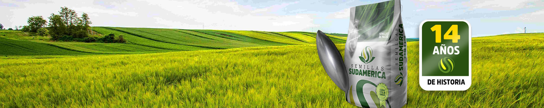 Campo Grupo Sudamérica